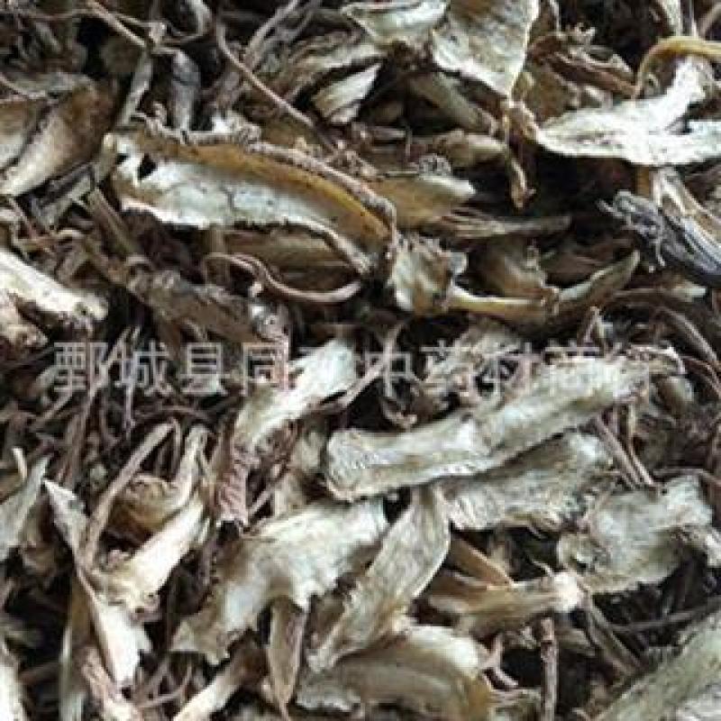 【小统无硫一棵树当归】【同欢药材】中药材批发供应