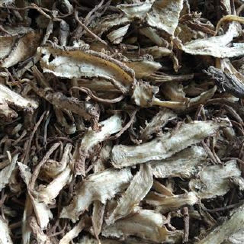 【小统无硫一棵树当归】【同欢药材】中药材批发供应