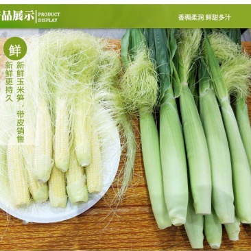 新鲜玉米笋番麦笋玉米芯玉米崽嫩玉米迷你玉米现摘玉米包邮。