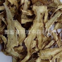 【大片无硫一棵树当归】@【同欢药材】中药材批发供应