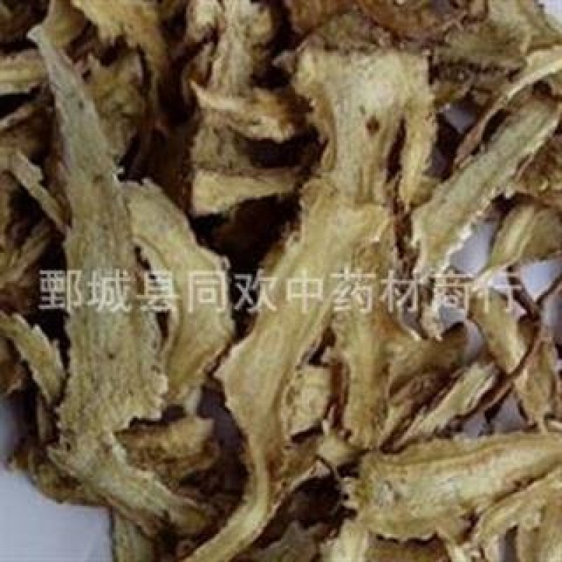 【大片无硫一棵树当归】@【同欢药材】中药材批发供应