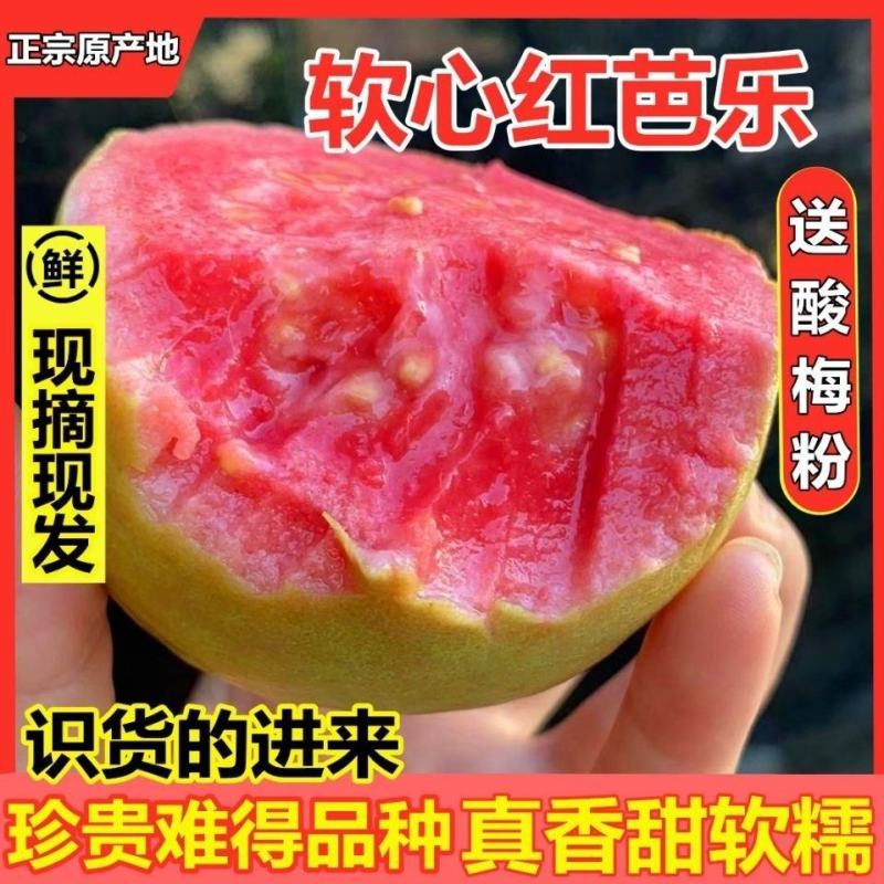 福建软糯香甜红心芭乐一件代发批发3/5斤装