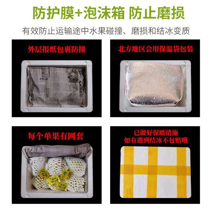福建软糯香甜红心芭乐一件代发批发3/5斤装