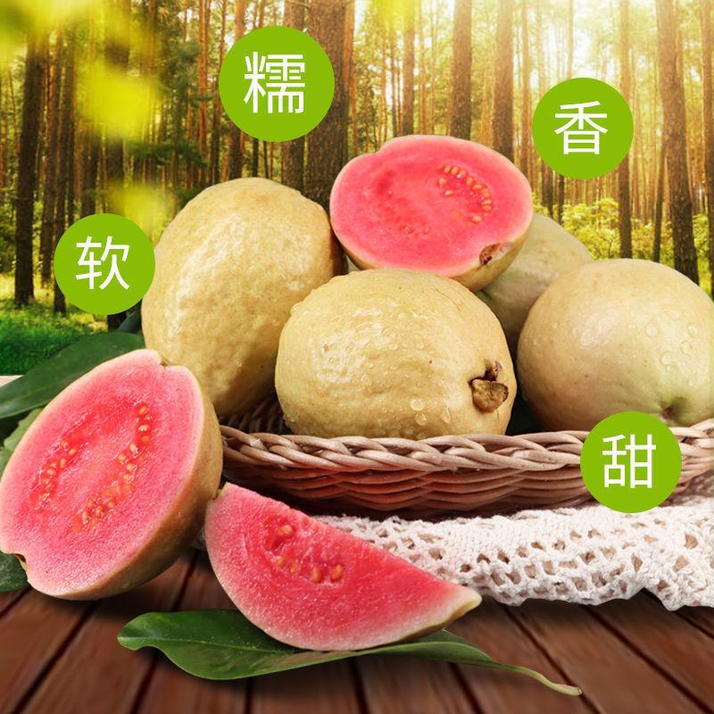 福建软糯香甜红心芭乐一件代发批发3/5斤装