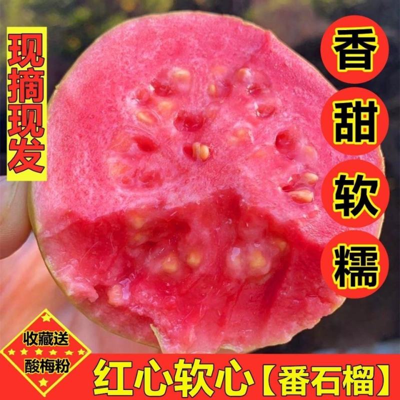 福建软糯香甜红心芭乐一件代发批发3/5斤装