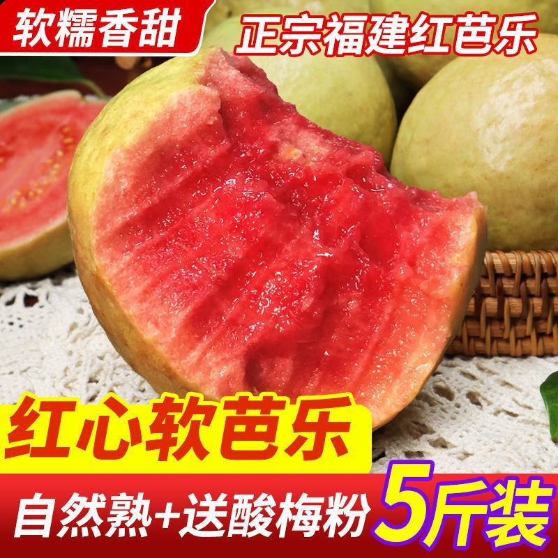 福建软糯香甜红心芭乐一件代发批发3/5斤装