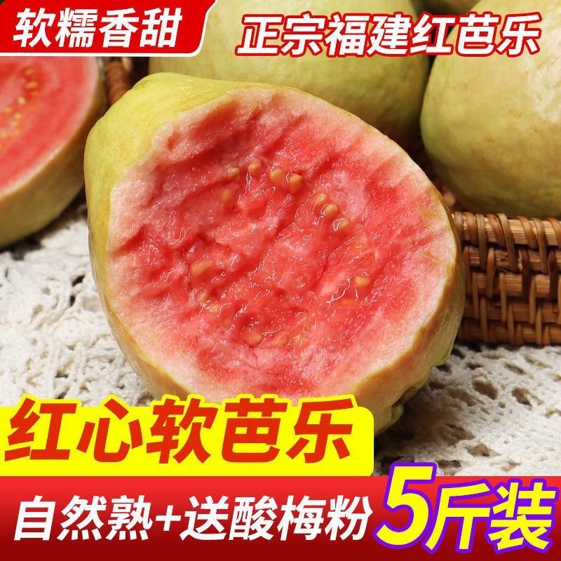 福建软糯香甜红心芭乐一件代发批发3/5斤装