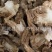 【好统货肉独活】@【同欢药材】中药材批发供应