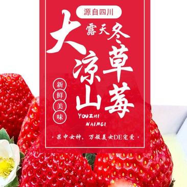 大凉山/丹东露天草莓，源头产地直供，包邮，坏果包赔。