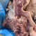 牛头肉，火烧皮牛全熟头肉去油去骨去淋巴，不碱法，实拍图片