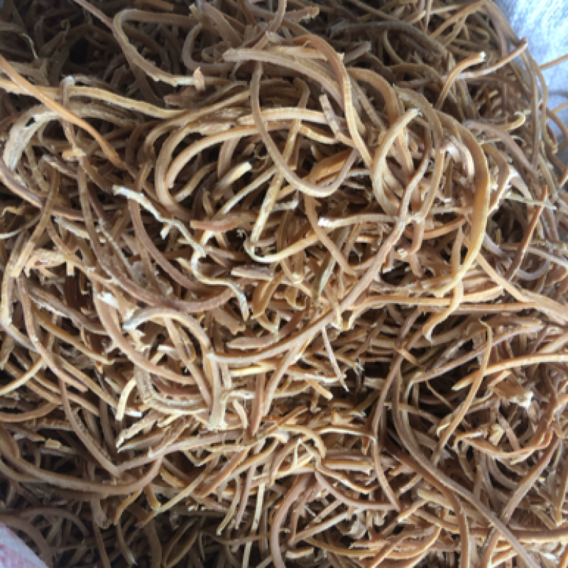 自产自销英德特产麻竹笋2.0横丝