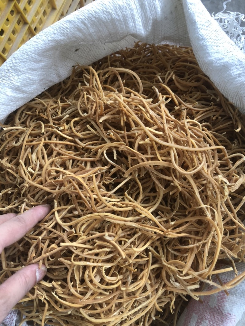 自产自销英德特产麻竹笋2.0横丝