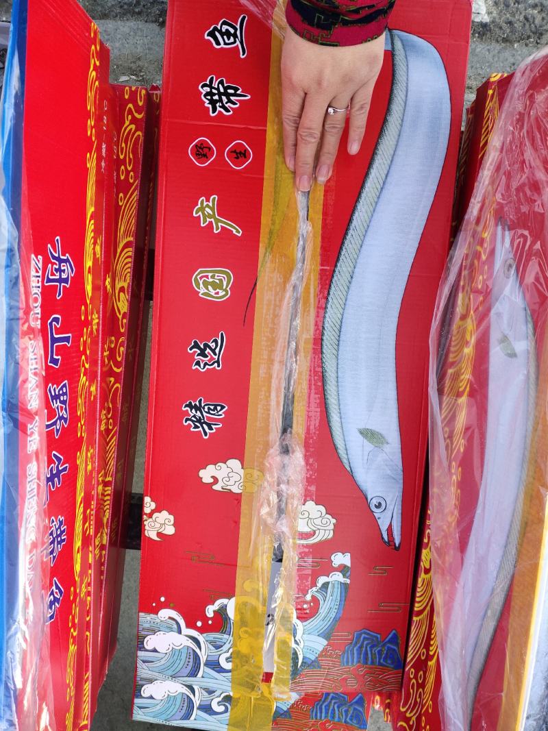 舟山带鱼，彩盒包装。基本没冰，一件7斤左右，量大从优，