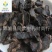 【大选片生地黄片】@【同欢药材】中药材批发供应规格齐全