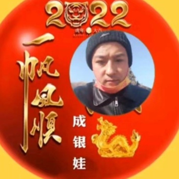 精品二茬韭菜