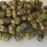 正宗铁皮石斛霍山石斛全化渣顺丰全国包邮批发零售一手货源