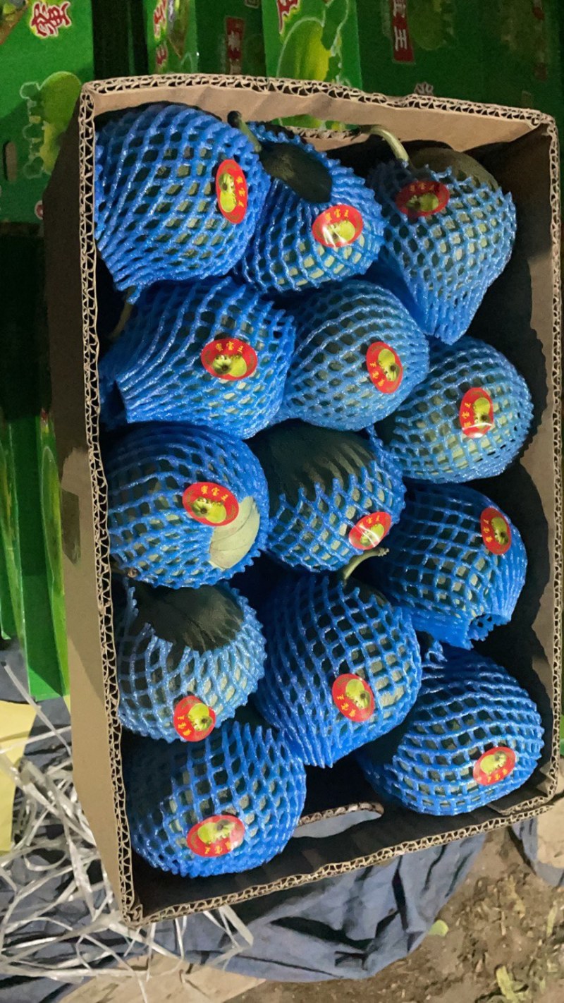 绿宝甜瓜潍坊青州大量上市各种精品甜瓜.欢迎各位老板咨询.