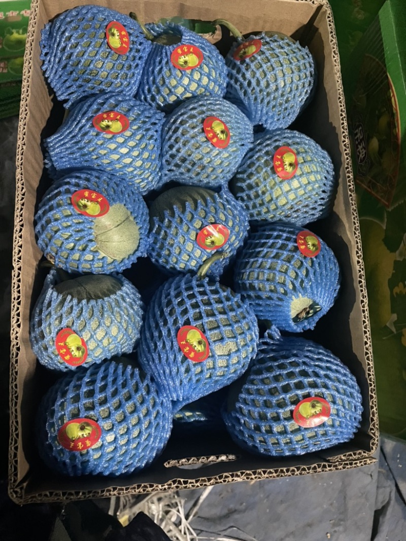 绿宝甜瓜潍坊青州大量上市各种精品甜瓜.欢迎各位老板咨询.