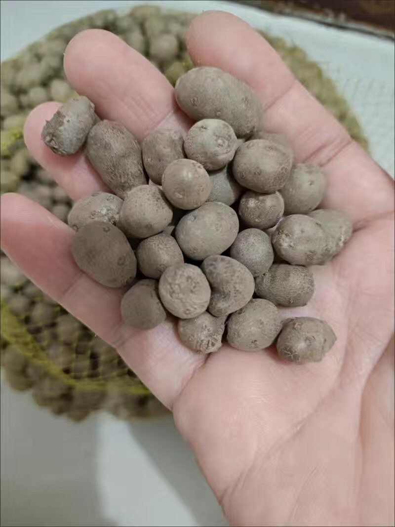【5斤35元包邮】1.5左右山药豆铁棍豆山药籽