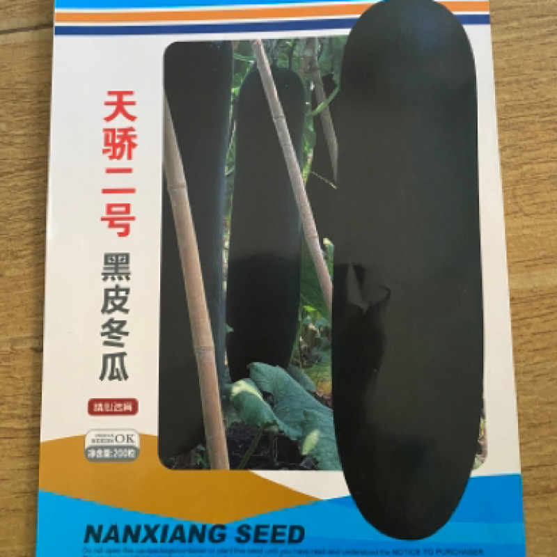 高产铁心黑皮80厘米中长条耐储运黑皮冬瓜种子