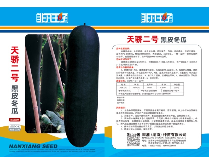 高产铁心黑皮80厘米中长条耐储运黑皮冬瓜种子