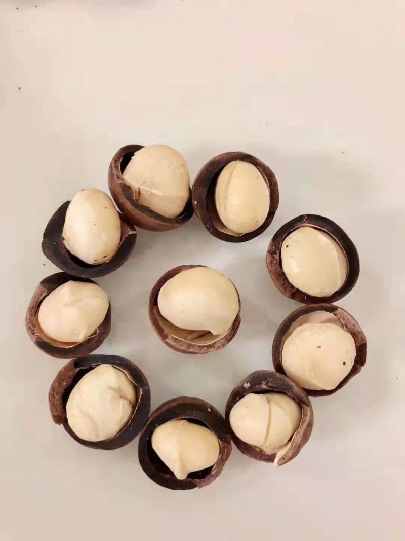 批发【夏威夷果仁】中小圆粒10斤起批发价实惠供应酒楼烘焙