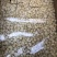 批发【夏威夷果仁】中小圆粒10斤起批发价实惠供应酒楼烘焙