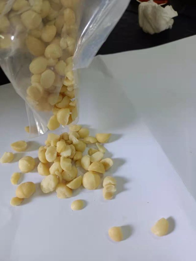 批发【夏威夷果仁】中小圆粒10斤起批发价实惠供应酒楼烘焙