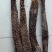 沙漠冬季肉苁蓉切片