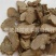 【大统货莪术文术】@【同欢药材】中药材批发供应