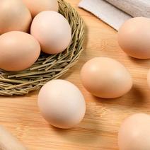 源头供货，日产100箱，优质双色粉蛋，无抗安全土鸡蛋。