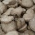 【旱防己】@【同欢药材】中药材批发供应规格齐全