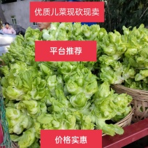 儿菜，小心儿多质量很好是最近几年发展起来的优质蔬菜品种。