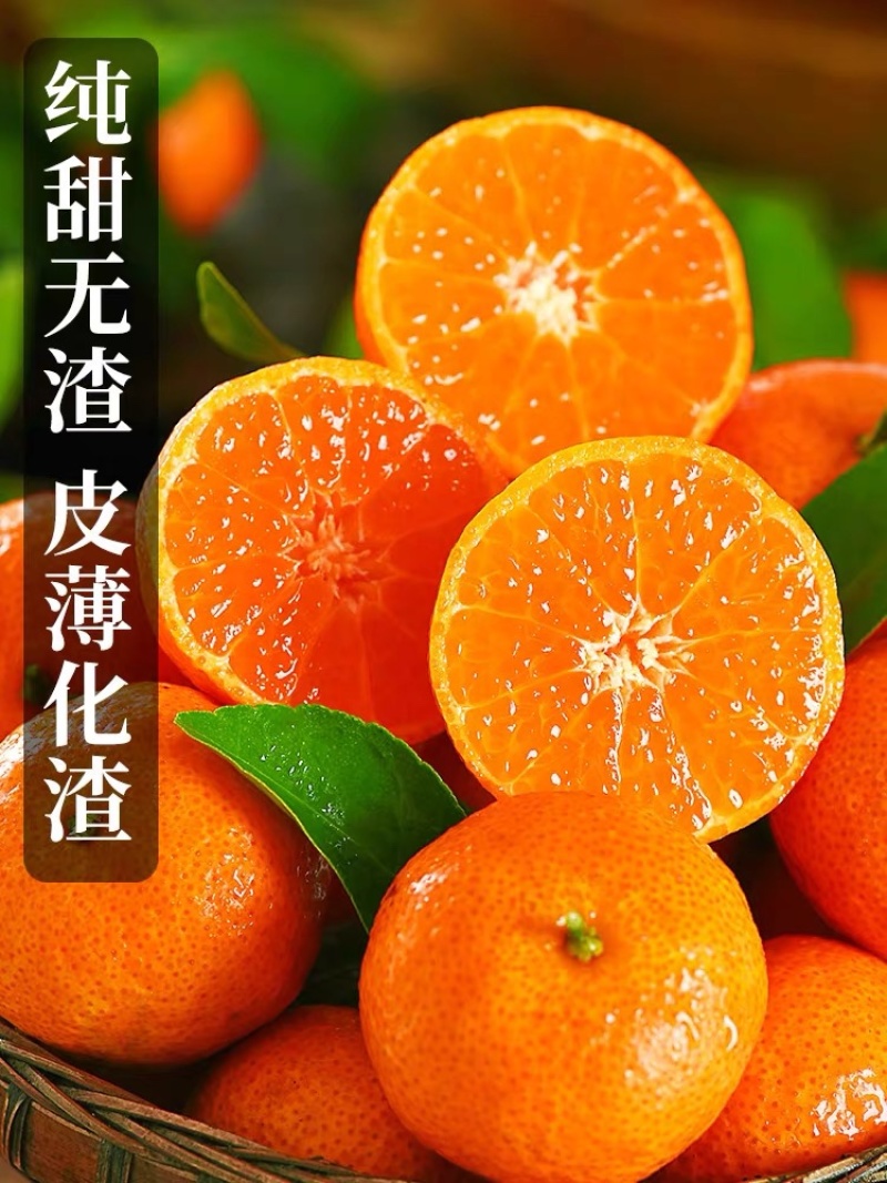 广西精品砂糖橘货源充足实力代办质优价廉可视频看货