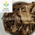 【藁本好统货】@【同欢药材】中药材批发供应规格齐全