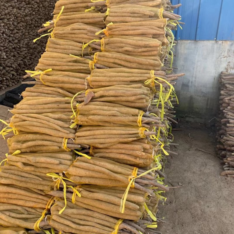 白玉网袋山药