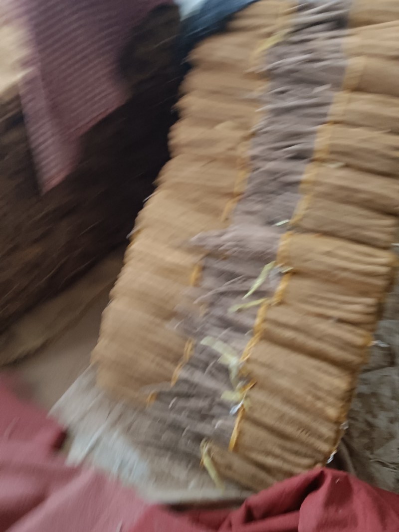 白玉网袋山药