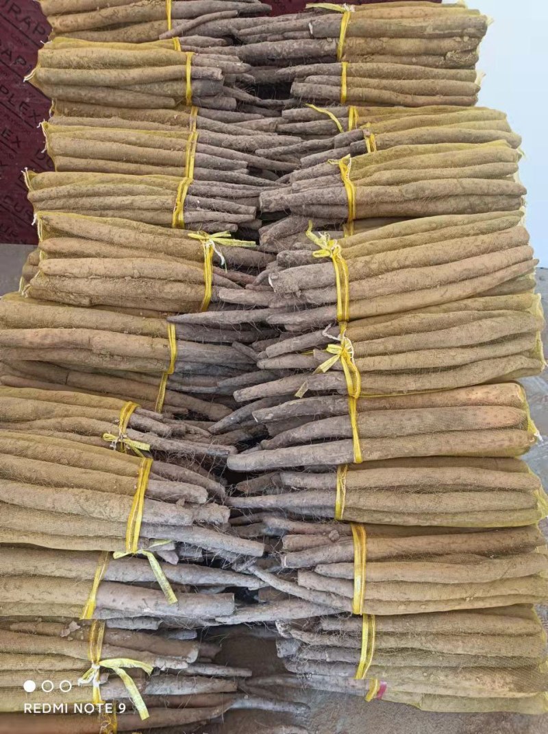 白玉网袋山药