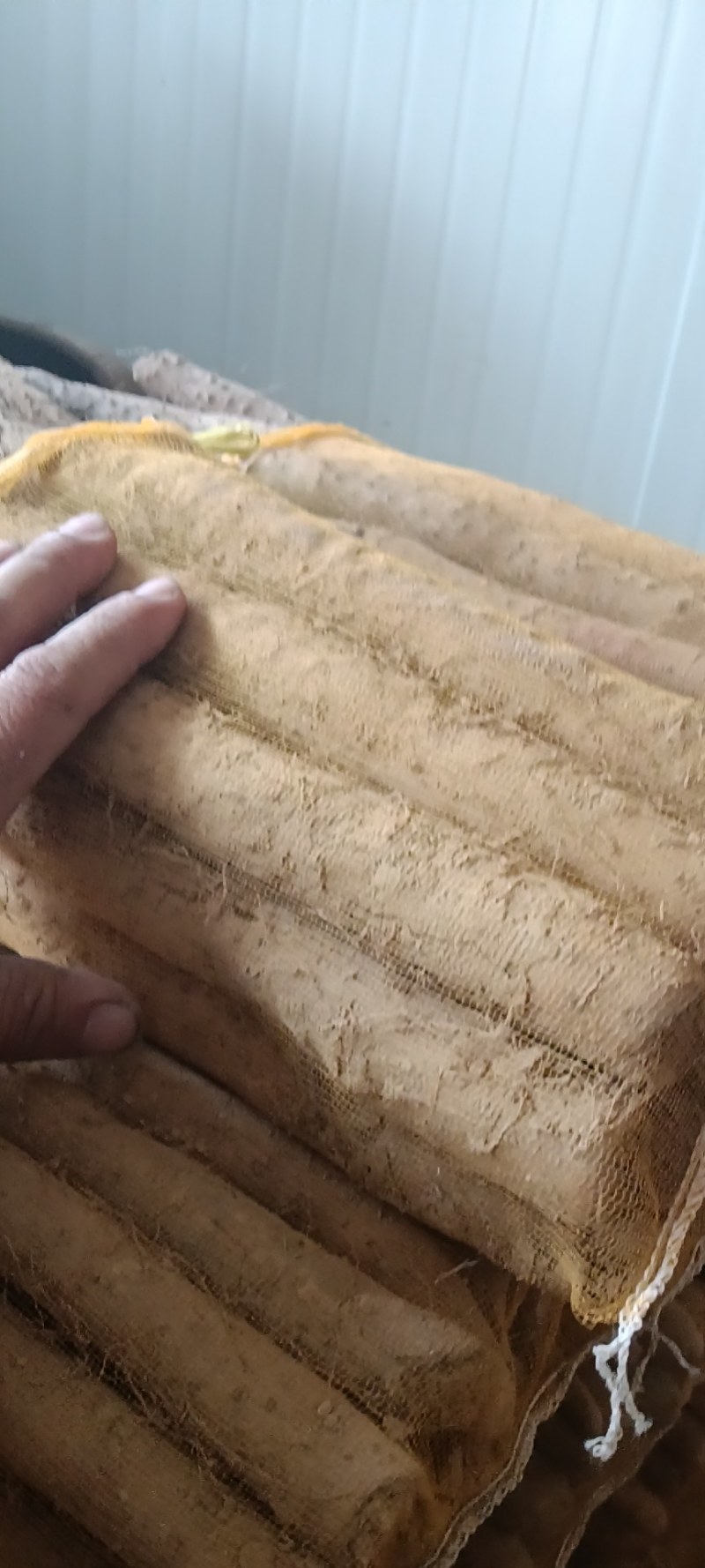 白玉网袋山药