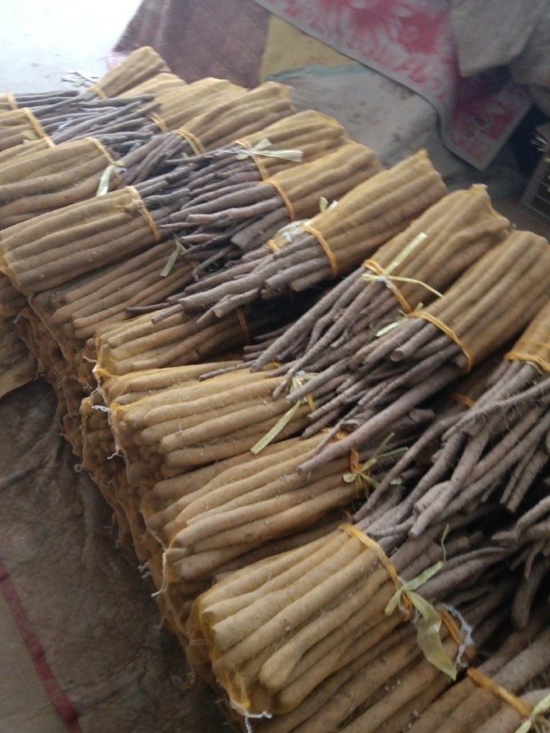 白玉网袋山药