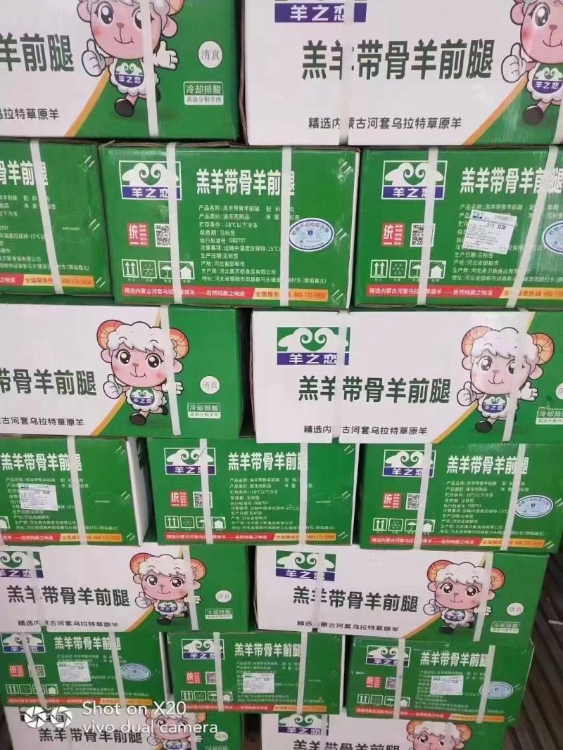 羔羊前腿，质量好价格合适，实拍图片，一手货源，全国冷链发
