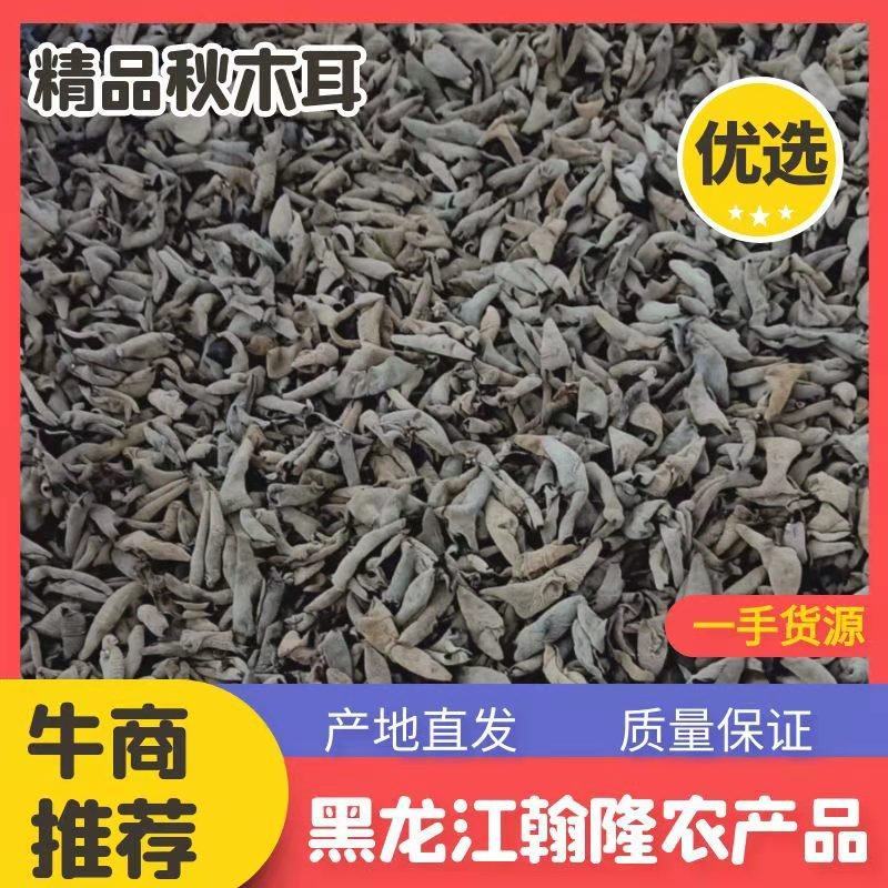 黑龙江秋木耳黑厚型好，精品秋木耳，大地黑木耳元宝耳批发。