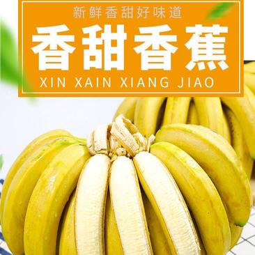 云南香蕉整箱10斤/6斤自然熟当季水果新鲜包邮十斤非广西