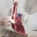 猪尾骨