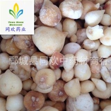 【光慈菇山慈菇】@【同欢药材】中药材批发供应规格齐全