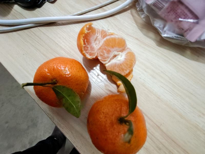 砂糖橘