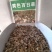 百日草种子，百日草花种子，七彩重瓣百日花种子四季开花易活
