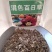 百日草种子，百日草花种子，七彩重瓣百日花种子四季开花易活