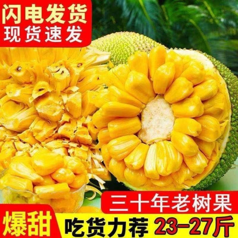 海南热带新鲜水果菠萝蜜水果菠萝蜜黄肉18-33一整个包邮