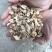 野生忍冬藤金银花根老藤干金银花藤根宝宝洗澡草药